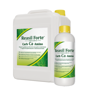 Reasil Forte Amino Ca специальное удобрение с высоким содержанием Кальция, 10л